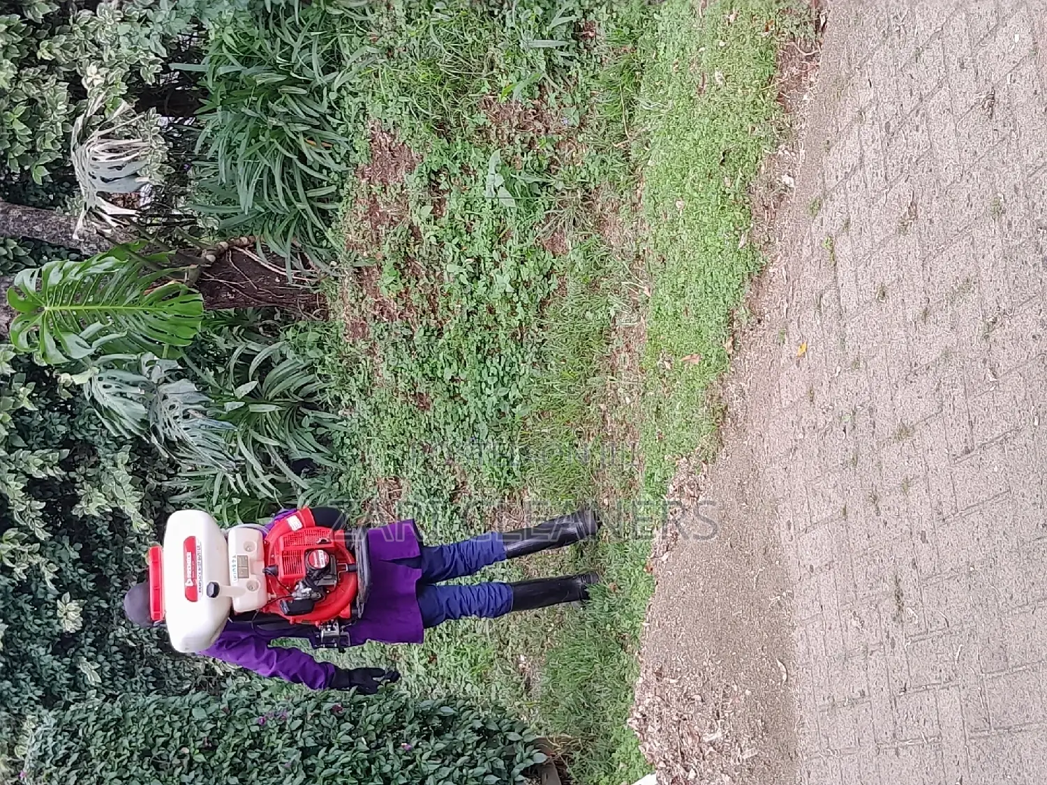 Caterpillar Worms Fumigation Services