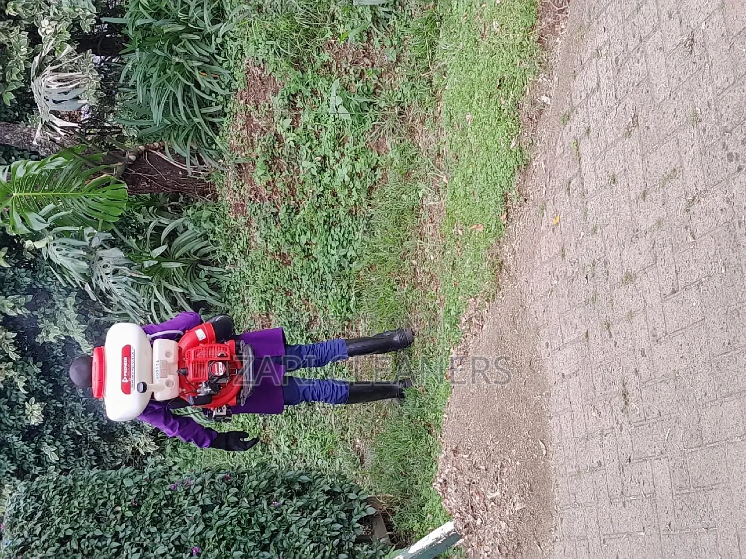Caterpillar Worms Fumigation Services