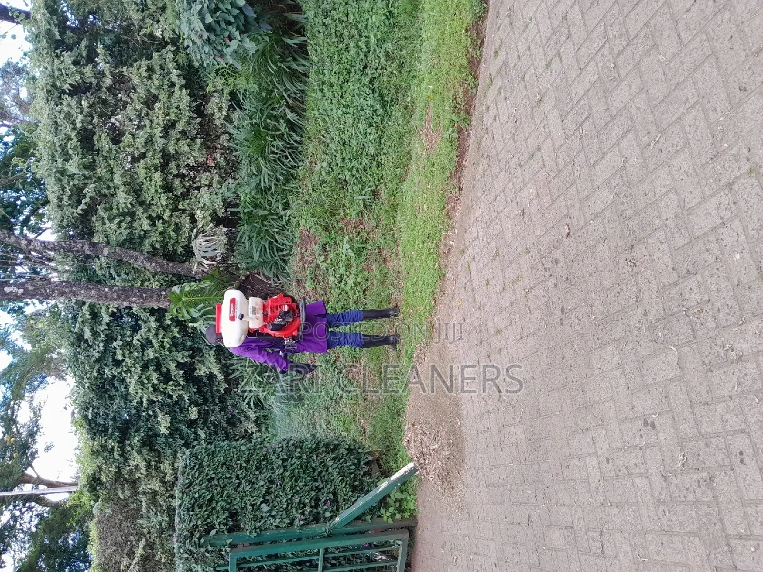 Caterpillar Worms Fumigation Services