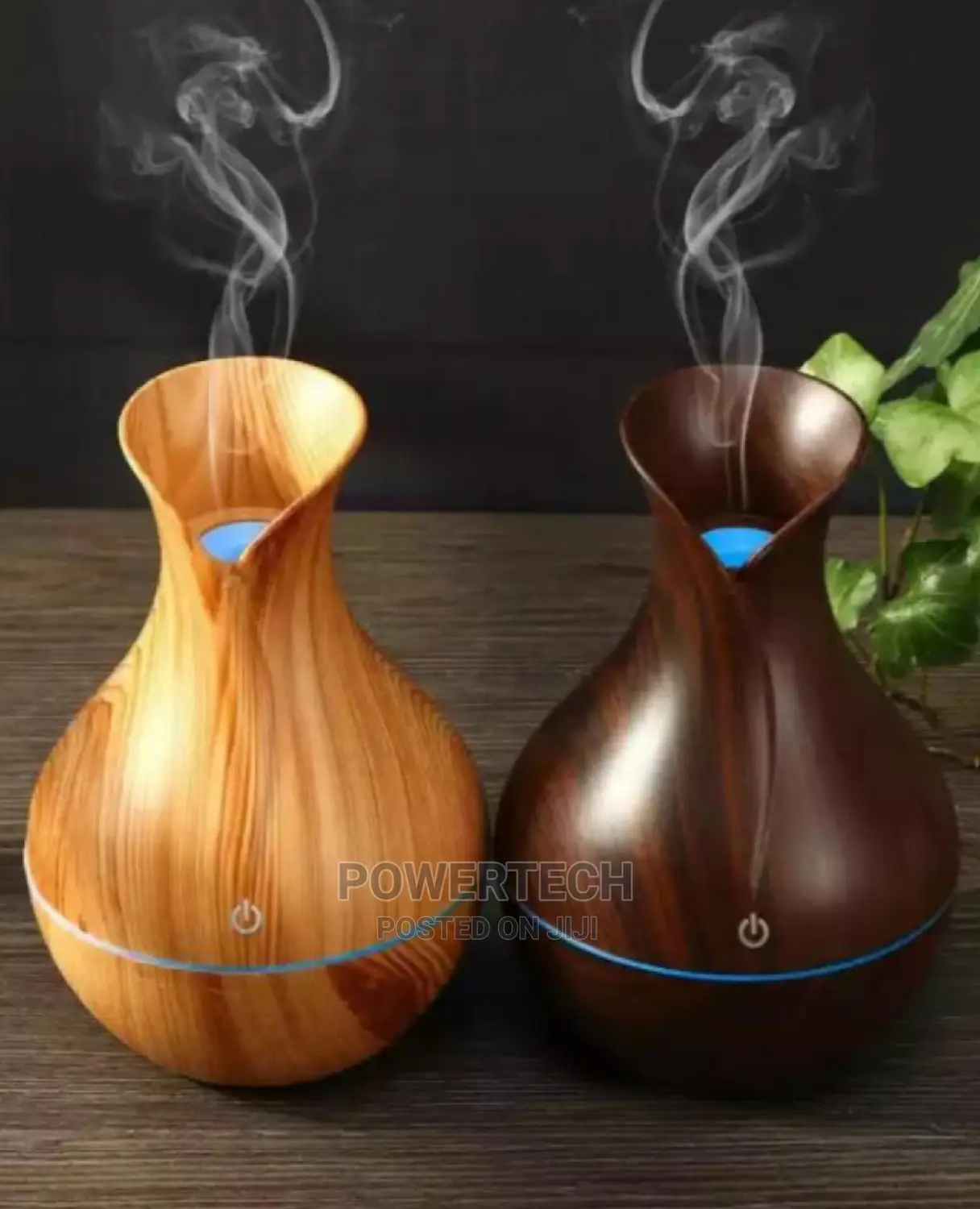 Air Diffuser/ Humidifier