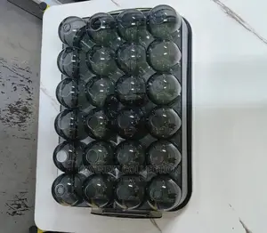 24pc Acrylic Egg Storage Container
