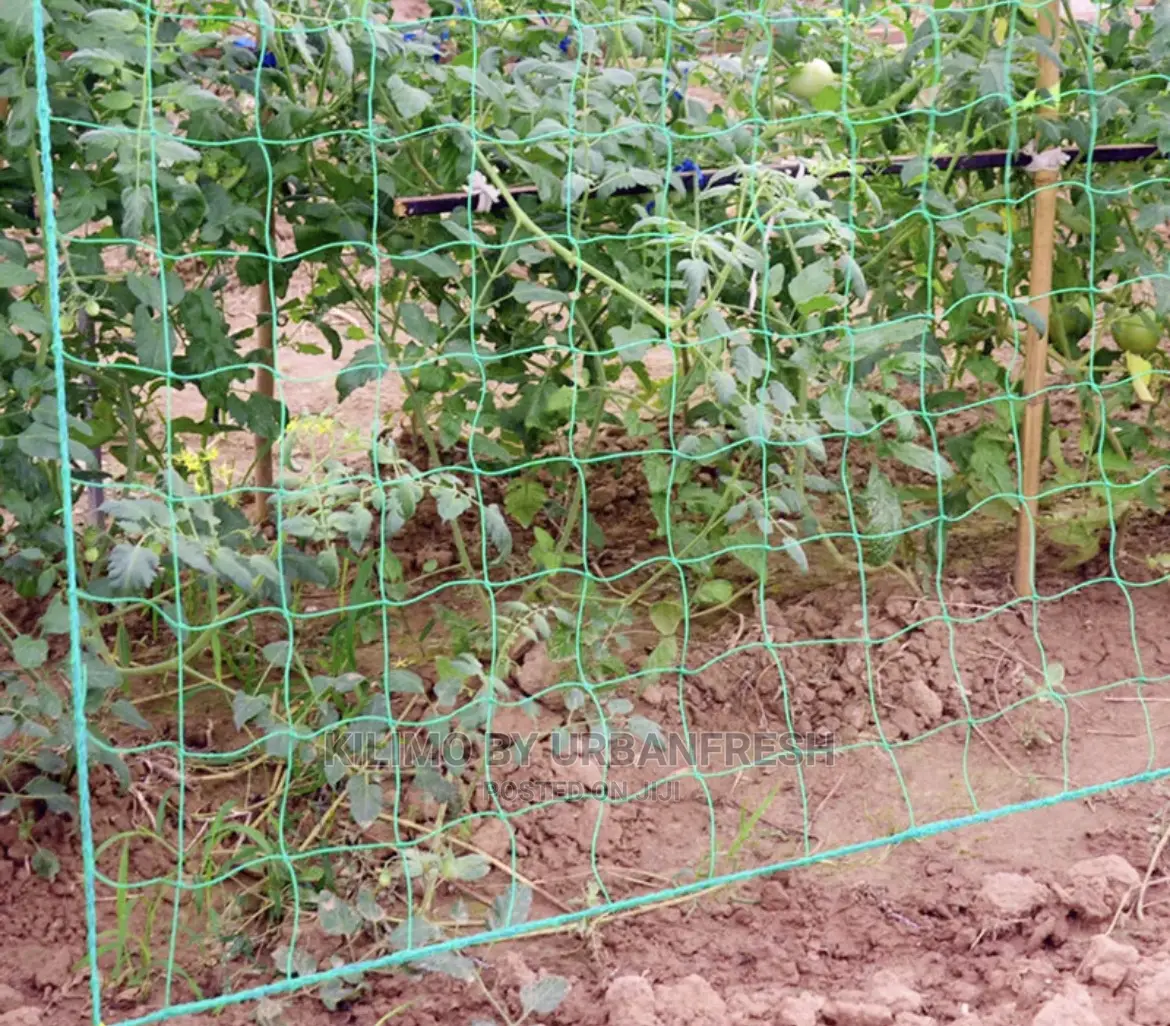 Trellis Netting. 2m X 500m. Mesh 20x20cm.