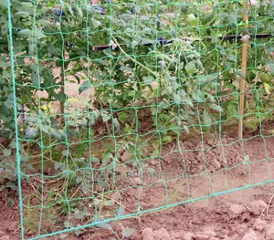 Trellis Netting. 2m X 500m. Mesh 20x20cm.