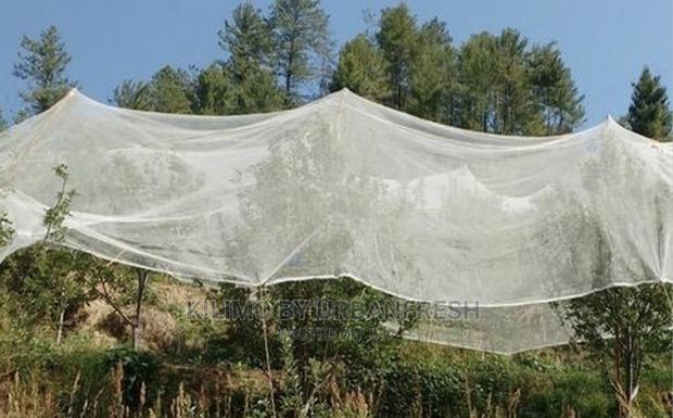 Anti - Hail Nets. 50m X 3m. - main view