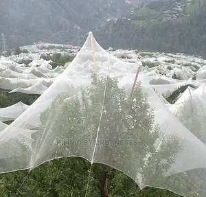 Anti - Hail Nets. 50m X 3m.