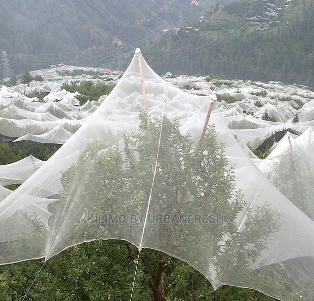 Anti - Hail Nets. 50m X 3m. - thumbnail 3
