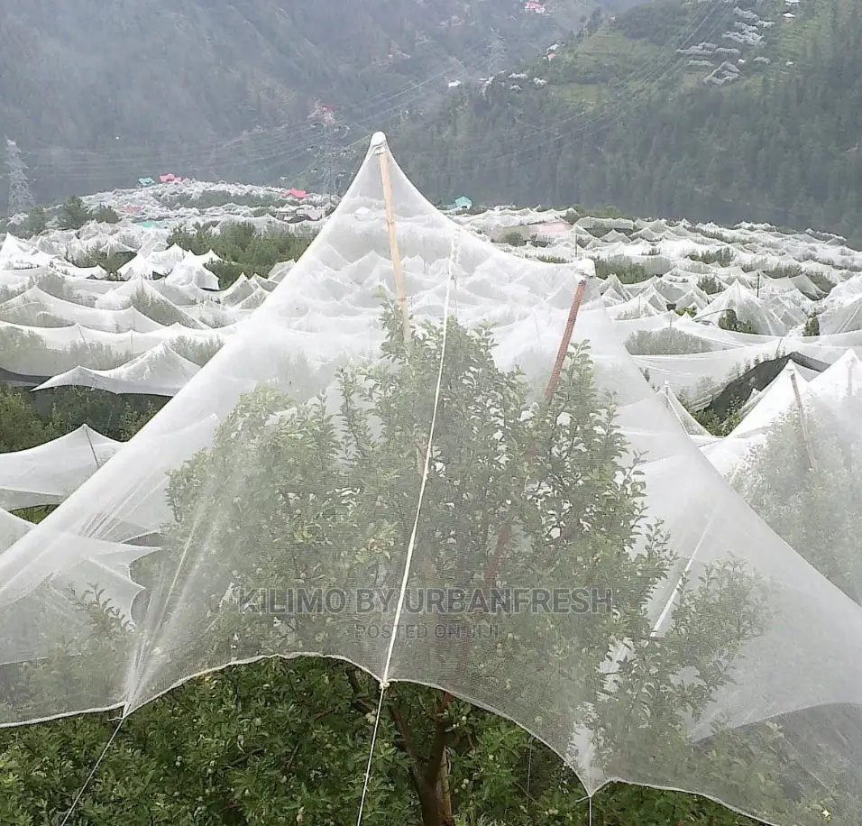 Anti - Hail Nets. 50m X 3m.