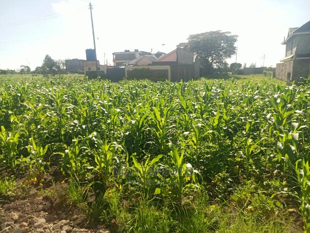 Matangi Residential Plots ( Ruiru) - thumbnail 2