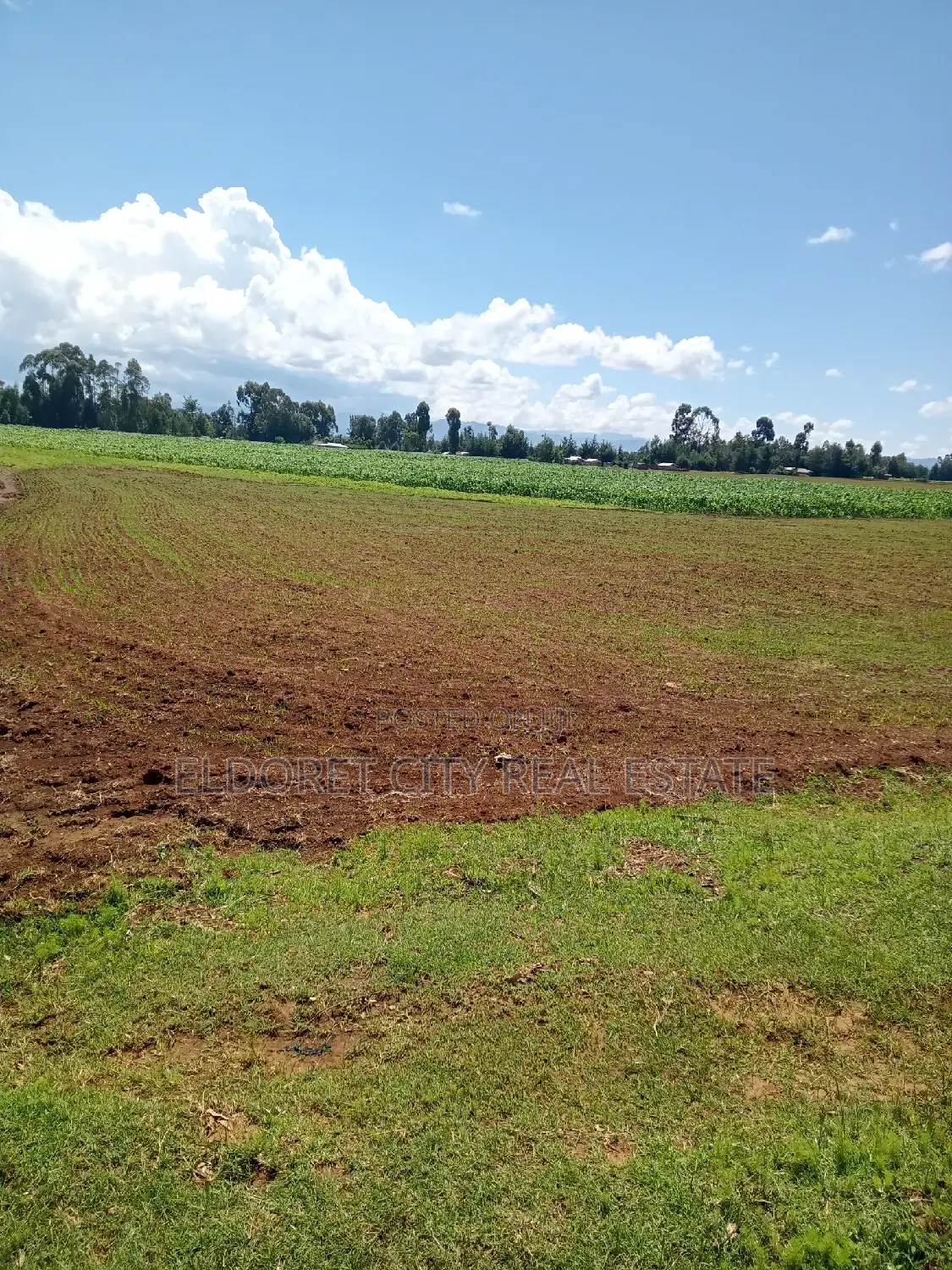 10 Acres Moiben Garage.