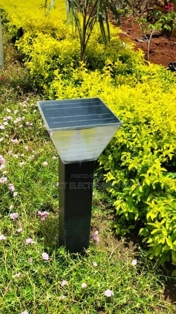 Solar Garden Lights