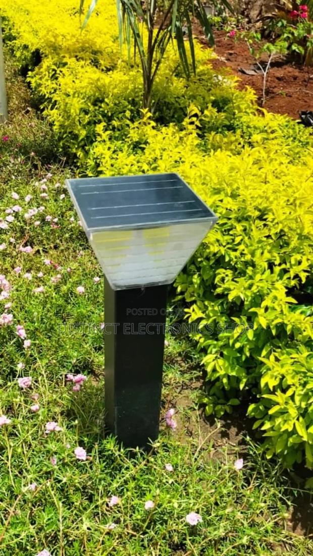 Solar Garden Lights - thumbnail 2