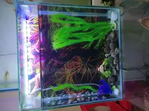 Mini Wall Tower Cube Aquarium