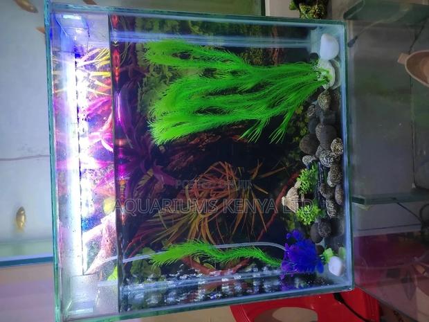 Mini Wall Tower Cube Aquarium - main view