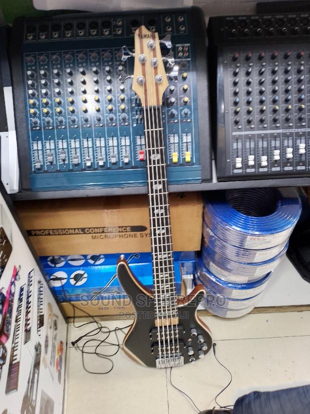 5 String Bass Guitar - main view