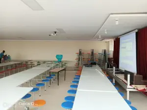 Pull Down Projection Screen