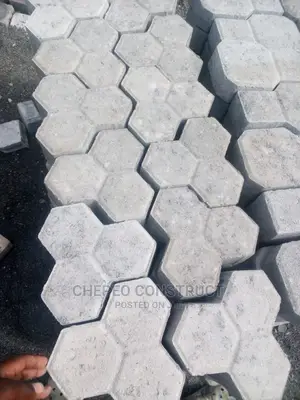 The Trihex Ordinary Cabro Paving Blocks