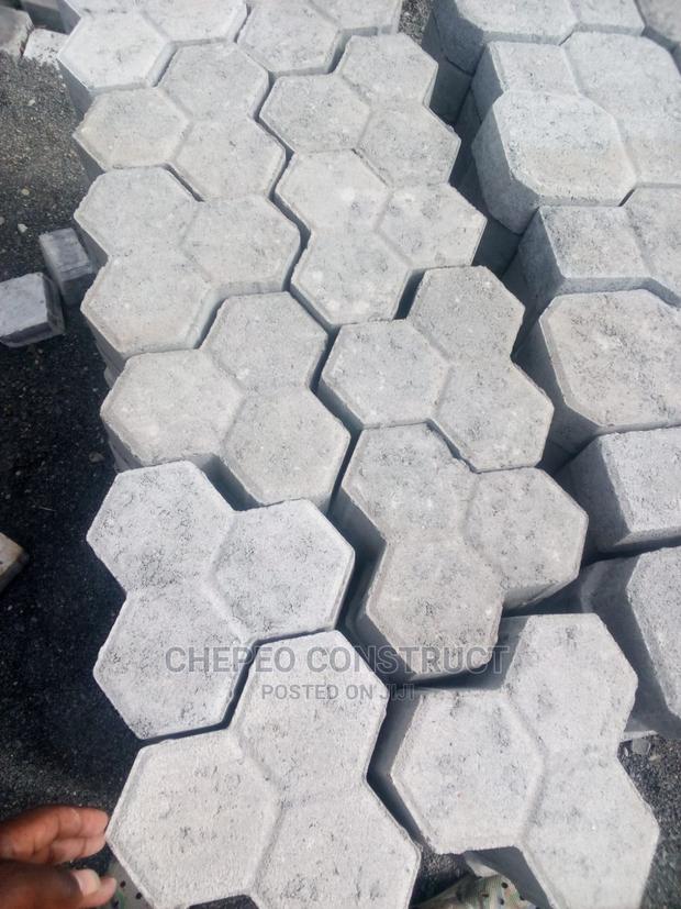 The Trihex Ordinary Cabro Paving Blocks