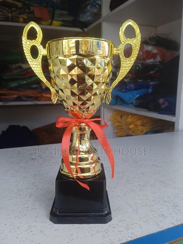 Awards Trophies - thumbnail 3