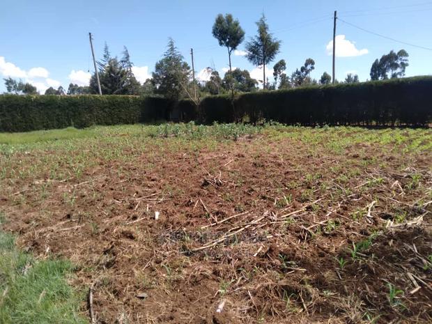 2bdrm Bungalow in Sogomo, Kimumu for Sale - thumbnail 7