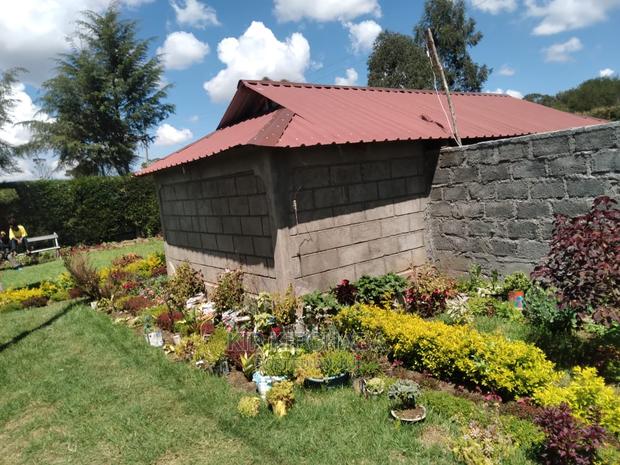 2bdrm Bungalow in Sogomo, Kimumu for Sale - thumbnail 5