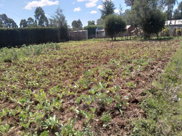 2bdrm Bungalow in Sogomo, Kimumu for Sale - thumbnail 6