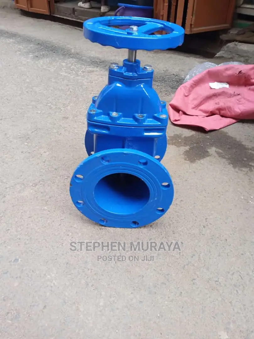 Sluice Valve 100mm(4")