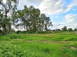 Prime 5.5 Acres , Garden Estate on Sale