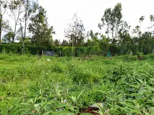 Prime 5.5 Acres , Garden Estate on Sale