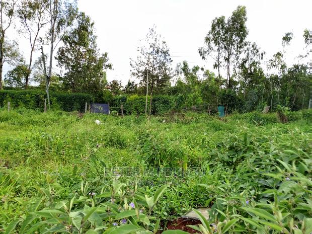 Prime 5.5 Acres , Garden Estate on Sale