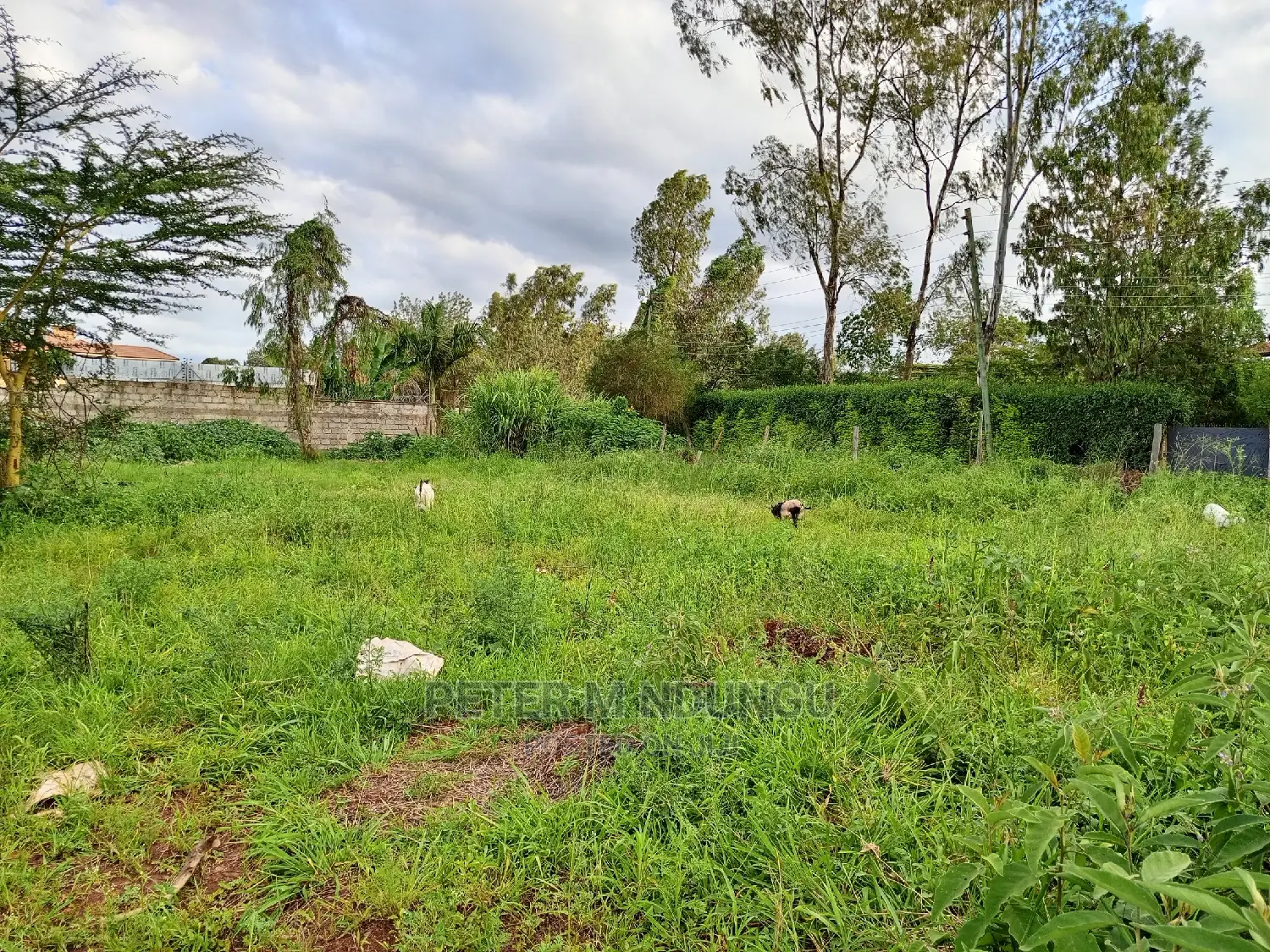 Prime 5.5 Acres , Garden Estate on Sale
