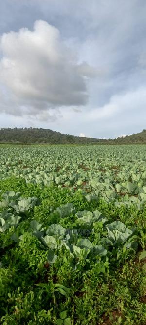 Selling 50 Acres in Timau - thumbnail 2