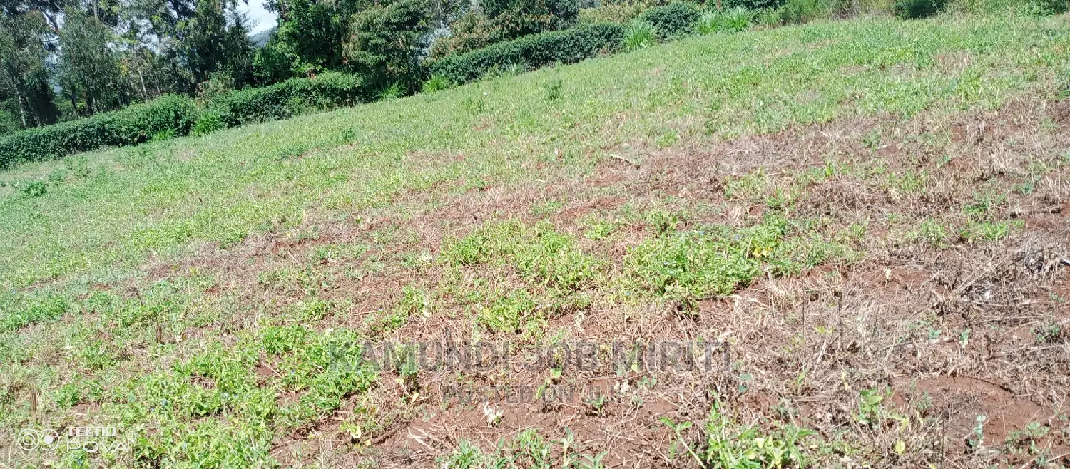 Plot for Sale 50/100