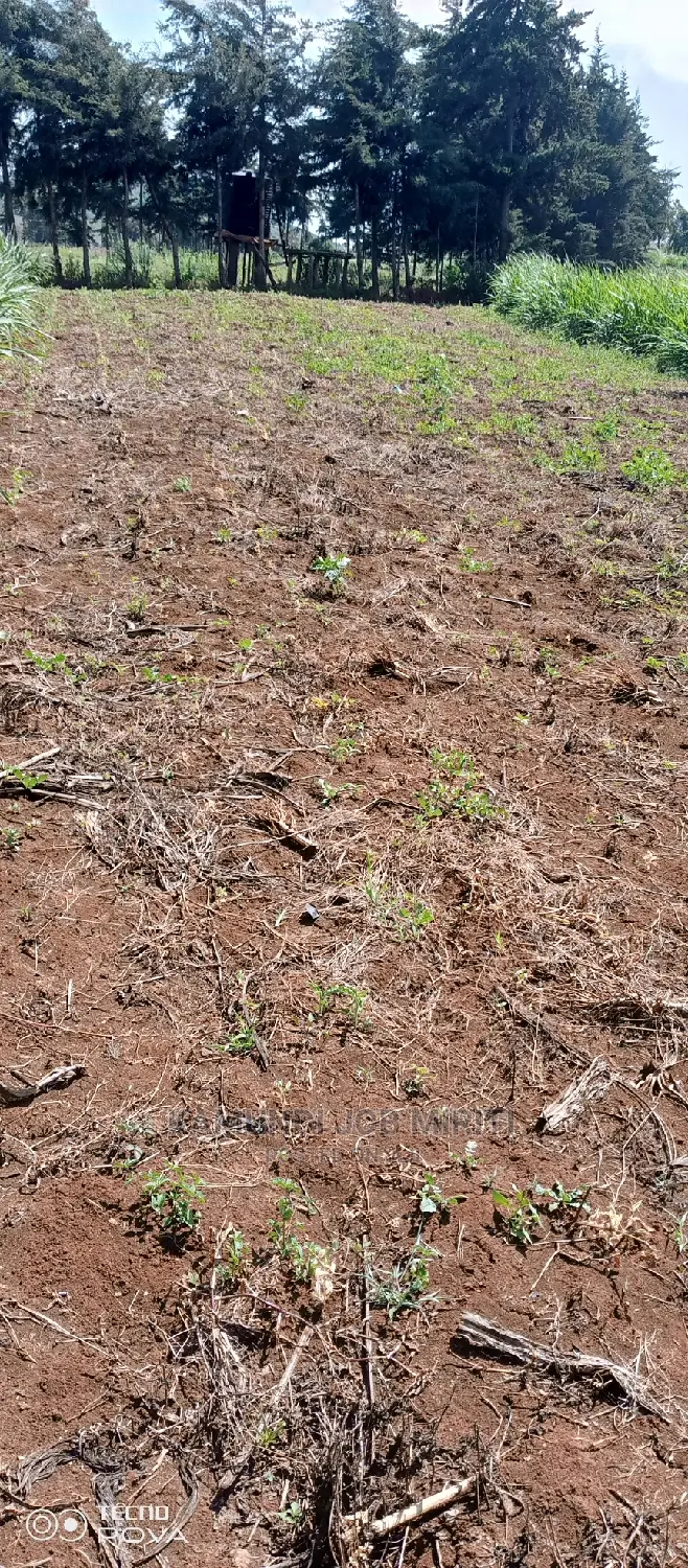 Plot for Sale 50/100