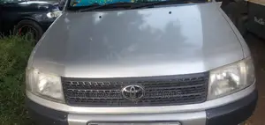 Grill for Probox and It's Body Parts