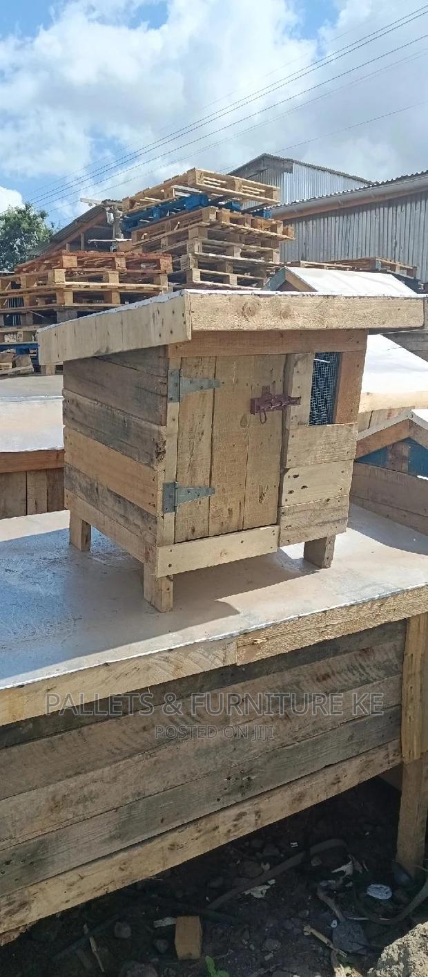 Chihuahua House 034 - main view