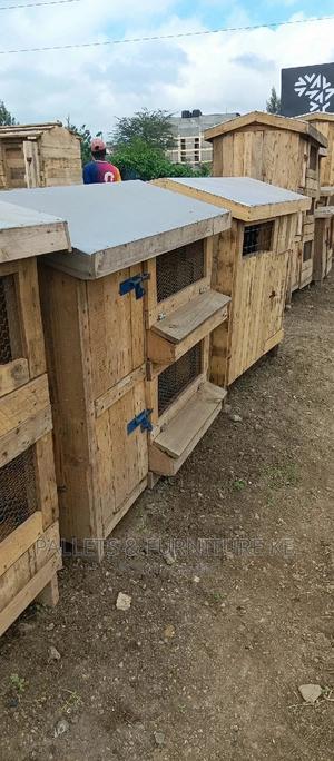 Chicken/ Chicken Houses - thumbnail 2