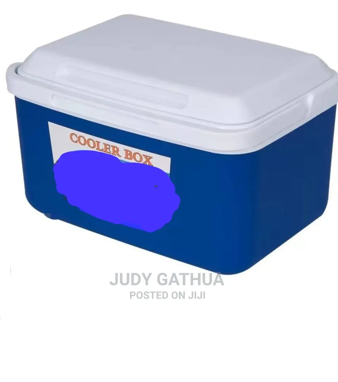 Cooler Box 10ltr