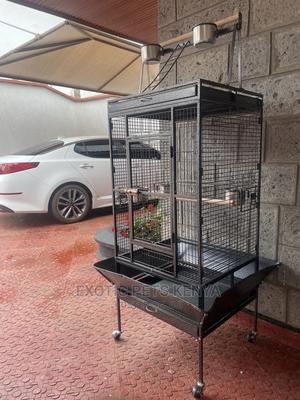 Imported Parrot Cage - thumbnail 2
