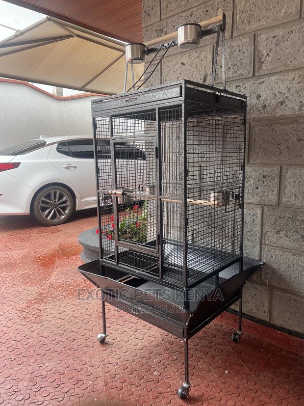Imported Parrot Cage - thumbnail 3