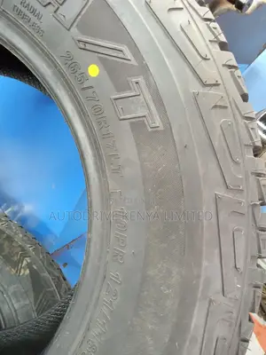 265/70r17 THREE-A Ecolander All-Terrain
