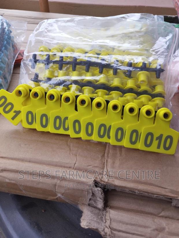 Yellow Numbered Goats Ear Tags