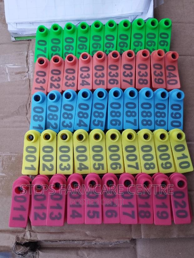 Colorful Goats Ear Tags