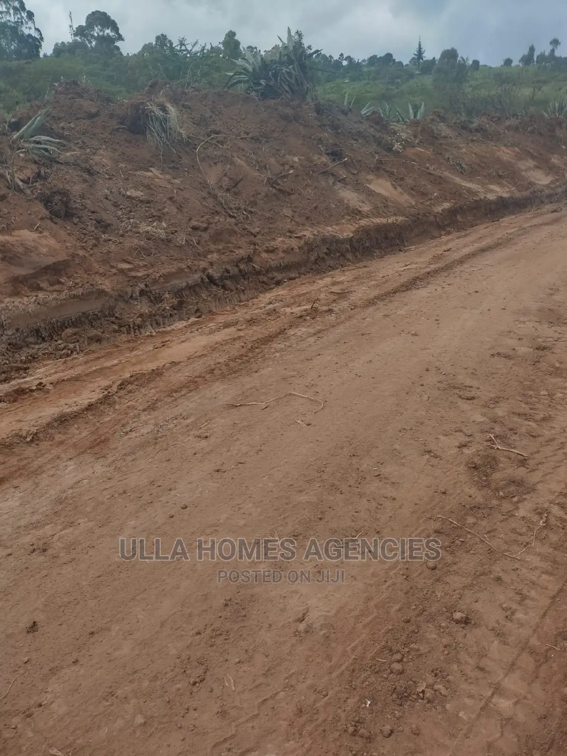50 by 100 Plots at Machakos