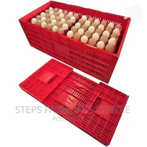 Egg Transportation Crates