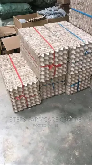 Paper Egg Trays -100 PCS