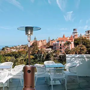 Patio Heater|} Patio Heater_ Patio Heater; Gas Patio Heater'