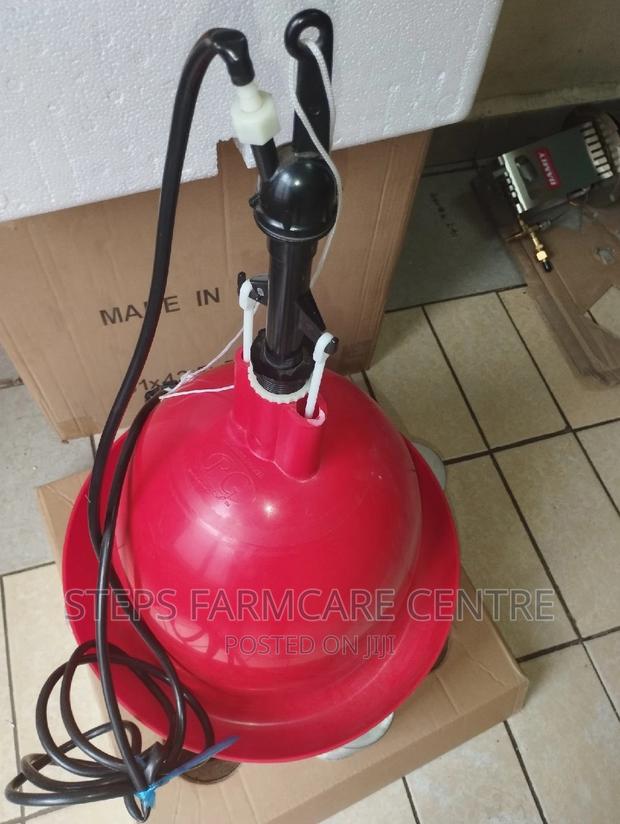 Automatic Malaysian Chicken Bell Drinkers