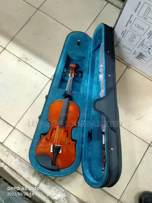 Half Blue Black Violin