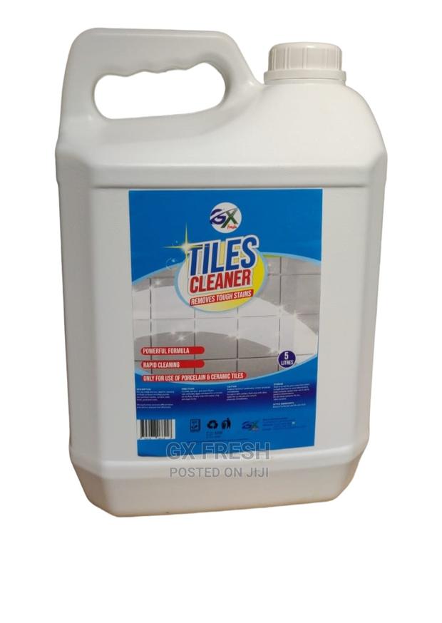 Tiles Cleaner - main view