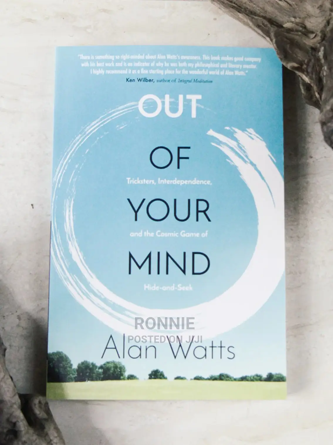 Out of Your Mind Book by Alan Watts
